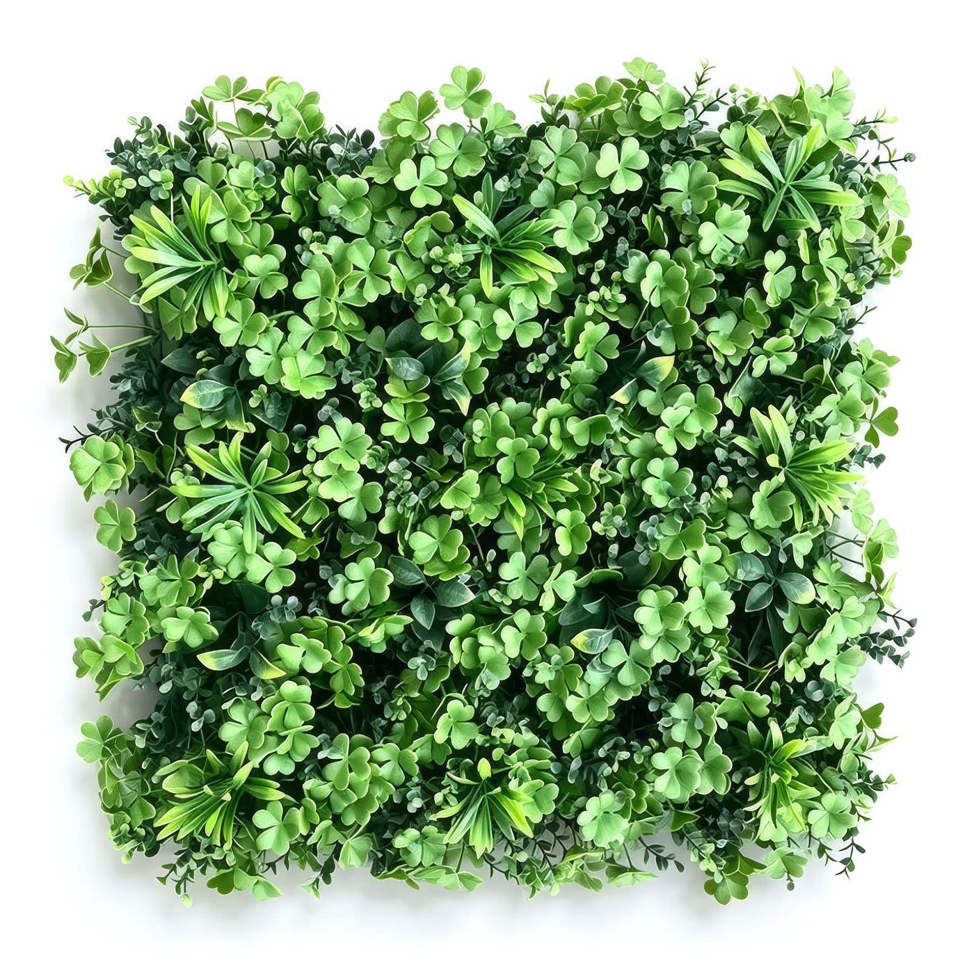 Ivy Cascade Green Wall Panel 1m x 1m